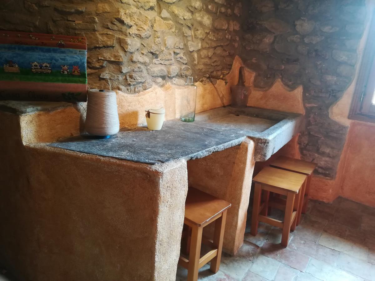 Casa El Frances Apartment Graus Ngoại thất bức ảnh